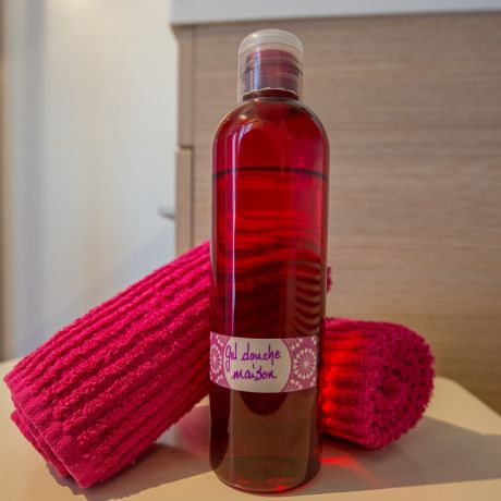 Bed & Breakfast - Gite - Hotel - Accommodation - Saillon, Valais