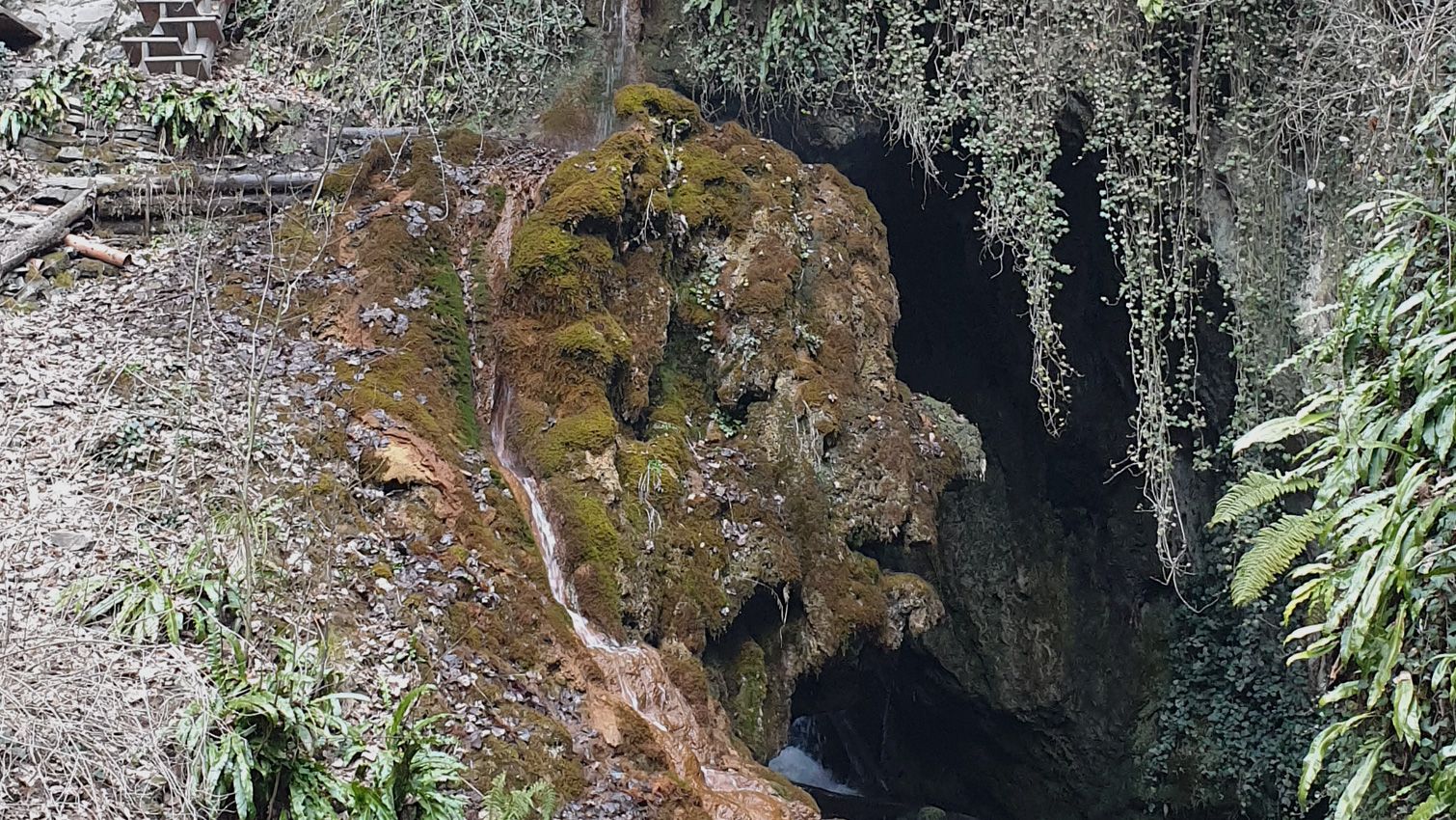 Bed & Breakfast - Gite - Hotel - Accommodation - Saillon, Valais