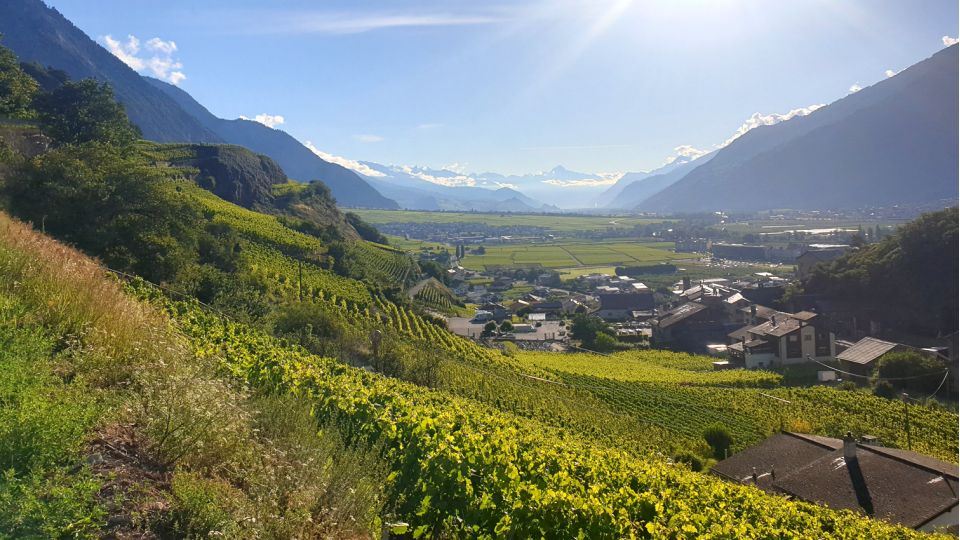 Bed & Breakfast - Gite - Hotel - Accommodation - Saillon, Valais